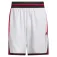 adidas Short Crazy Lite 5´´