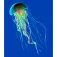 Kruskis Jellyfish kapuzenpullover