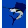 Kruskis Moletom com capuz Jumping Sailfish