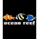 Kruskis Ocean Reef 반팔 티셔츠