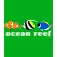 Kruskis Ocean Reef 반팔 티셔츠