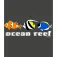 Kruskis Ocean Reef 반팔 티셔츠