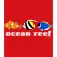 Kruskis Ocean Reef 반팔 티셔츠
