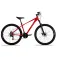 Rali A1 29´´ TY300 2025 mountainbike