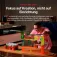 Xtool P3 lasergraveermachine 80W