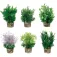 Flamingo Basic Plant Aquarium Decoration assorted