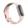 Fitbit Charge 6 智能手表