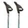 Fizan Bastons Carbon Pro Impulse