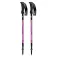 Fizan Bâtons Compact MS
