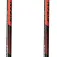 Fizan R-Evolution Pro Stöcke