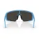 Bliz Gafas de sol P003