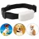 Tkstar Rastreador GPS TK911