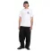 Volcom Aura 반팔 티셔츠