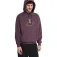 Volcom Noder Bluza z kapturem