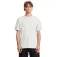 Volcom Stone Blanks 반팔 티셔츠