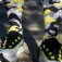 Wabiks Camo Crew-sukat