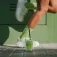 Pacific socks Matcha sukat