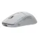 Turtle beach Burst II Pro wireless mouse