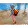 Overboard Waterproof Tiger backpack