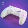 Blade Controller PS4 Arctic