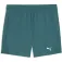 Puma Velocity 5´´ shorts