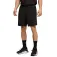 Puma Pwrtrain Urheilushortsit