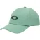 Oakley Take pro snapback cap