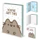 Pyramid Pusheen notebook