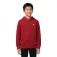 Jordan Sudadera con capucha Brooklyn