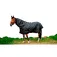 Equitheme Protector de coll 600D Lumin 0g