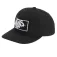 Vans Gorra snapback Formula