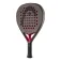 Head Coello team 2026 padelracket