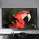 Tx T95Z Plus Medienstreamer
