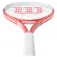 Wilson Envy SE Tennisketsjer