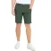 Abacus golf Baffy shorts
