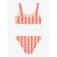 Roxy Bold Waves Crop bikini