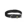 Equestro Collier de chien Web