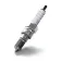 Quicksilver Bugia BR7HS