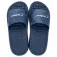Rider Step slides