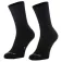 Scott Block Stripe Crew socks