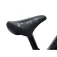 Giant Pre RCarbon Push Bike Loopfiets