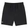 Lacoste Шорты Core Performance