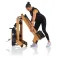Finnlo Remo Aquafold rowing machine
