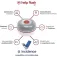 Help flash Baliza Conectada V16 IoT