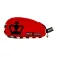 Black crown Necesser Chiron