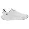 Under armour Ascend 러닝화