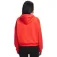 Under armour Icon Fleece kapuzenpullover