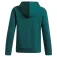 Under armour Moletom com capuz Rival Fleece