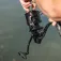 Avid carp Molinete carpa Revolve