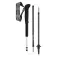 Leki Bastons Skytera Fx.One SL